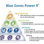 Pin By Linda McCulloch On The Blue Zones Project Blue