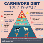 The Nutritionist s Guide To The Carnivore Diet A Beginner