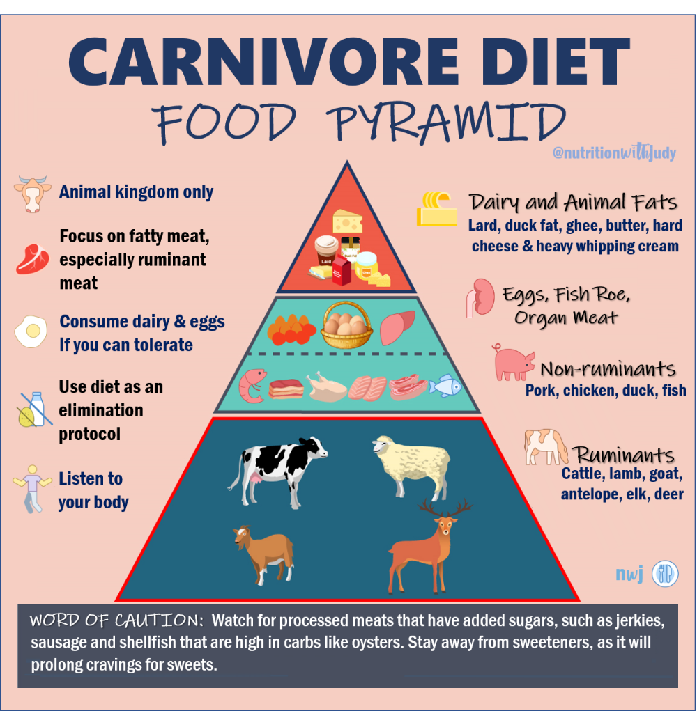 The Nutritionist s Guide To The Carnivore Diet A Beginner 