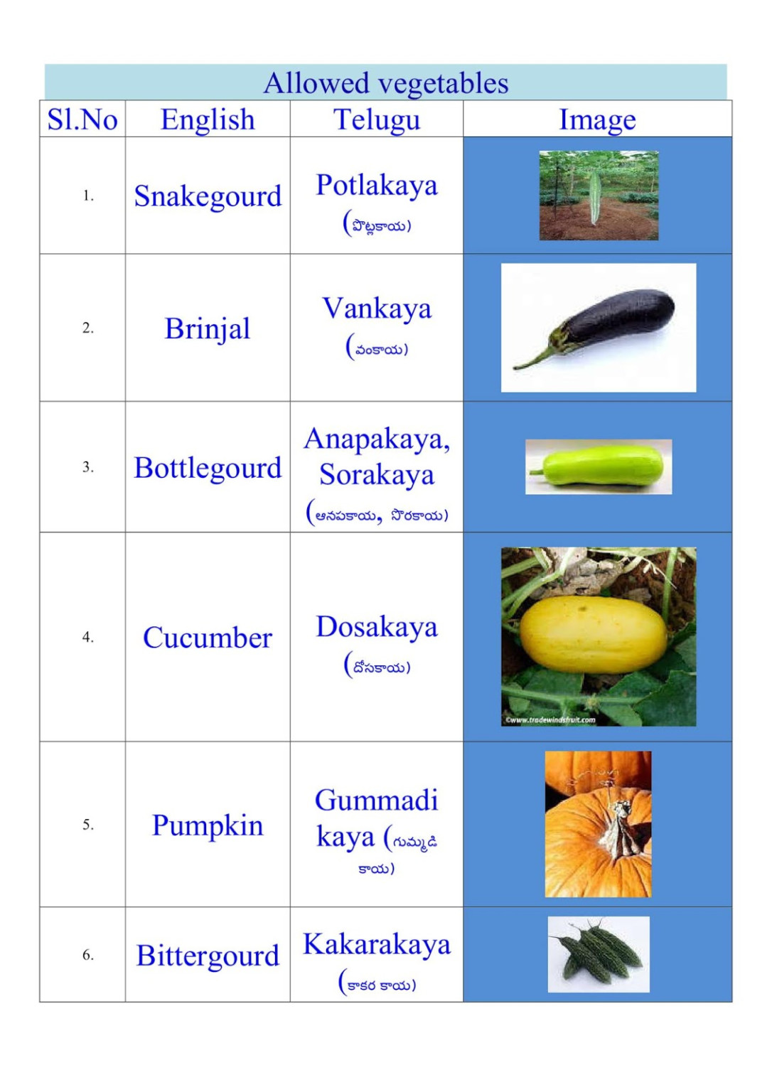 Vrk Diet Plan In English Pdf DietWalls PrintableDietPlan Vrk Diet Plan In English Pdf DietWalls PrintableDietPlan