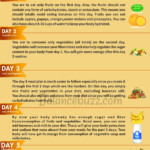 Weight Loss Meal Plan 7 Days GM Diet Plan For Quick