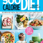 2 Day 500 Calorie Diet Plan Dubaiinter