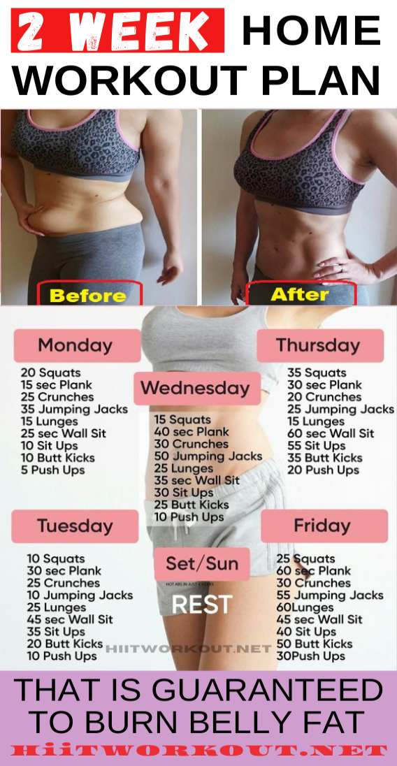 2 Week Workout Plan To Lose Belly Fat Fast