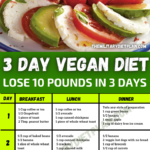 3 Day Military Diet For Vegetarians Vegans Vegan Diet Plan