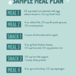 Bikini Comp Meal Plan burnfat Competition Diet Model Diet Plan