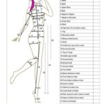 Blank Body Measurement Template 18 Sewing Measurements Fashion