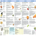 Diabetic Chart New Diabetics Food List Diabetic Exchange Chart