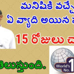 Dr Ramachandra 15 Days Diet Plan Dr Ramchandar Rao Bnys
