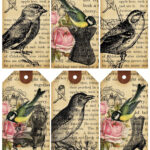 Ephemerasvintagegarden blogspot Weekly Free Printable Bird