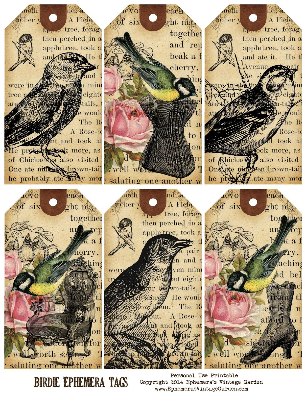 Ephemerasvintagegarden blogspot Weekly Free Printable Bird 