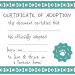 Free Printable Adoption Certificate Calep midnightpig co With Regard