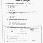 Free Printable Fifth Grade Science Worksheets Printable Worksheets