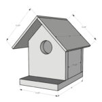 How To Build A Birdhouse Bird Houses Bird House Plans Bird House