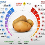 How To Eat A Balanced WFPB Diet DrCarney Blog DrCarney