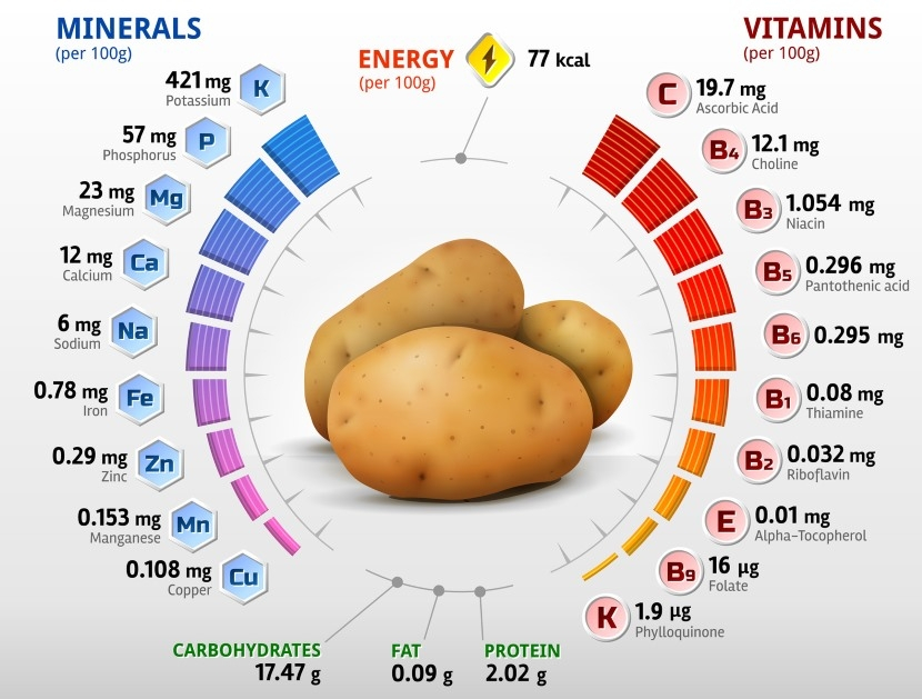 How To Eat A Balanced WFPB Diet DrCarney Blog DrCarney