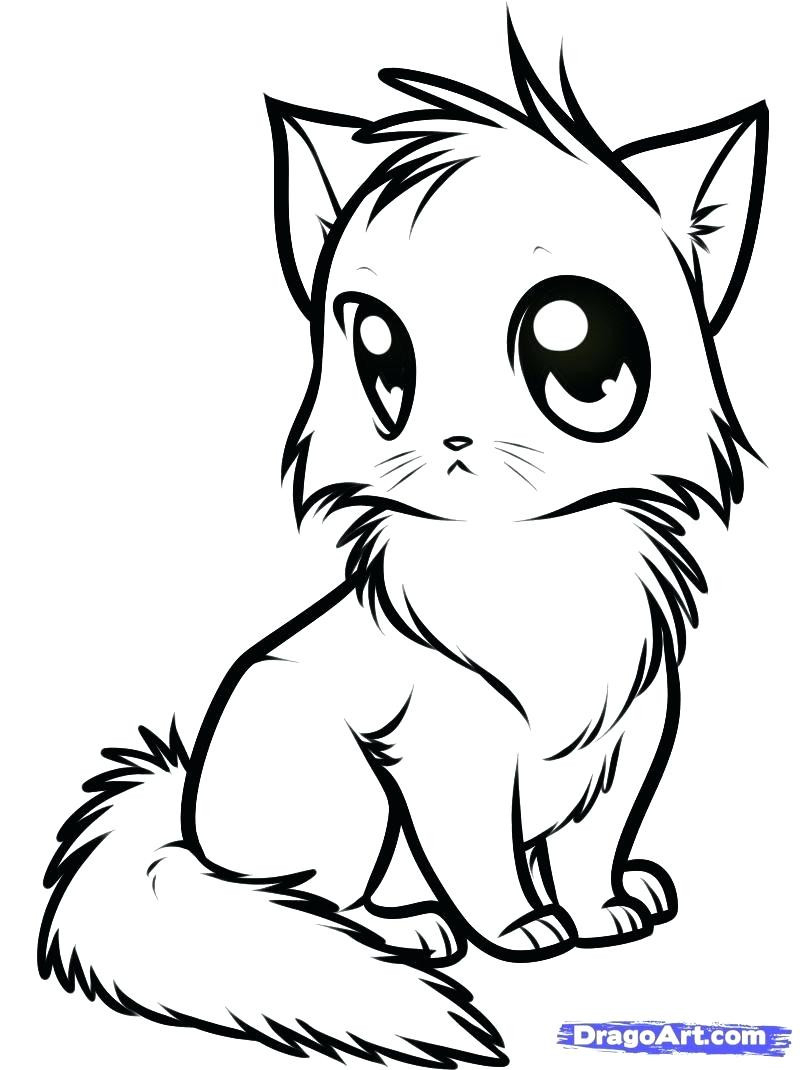 Kitty Cat Coloring Pages Printable At GetColorings Free Printable 