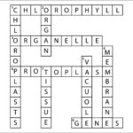 Pairs Air Crossword Clue Emilybethbond
