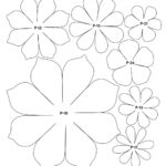 Printable Free Paper Flower Petal Templates Addictionary