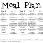 Printable Yoli Meal Plan PrintableDietPlan