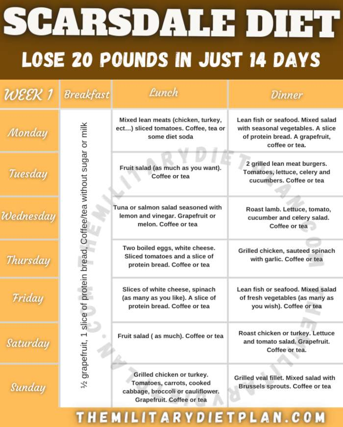 Scarsdale Diet Plan Lose 20 Pounds In Just 14 Days