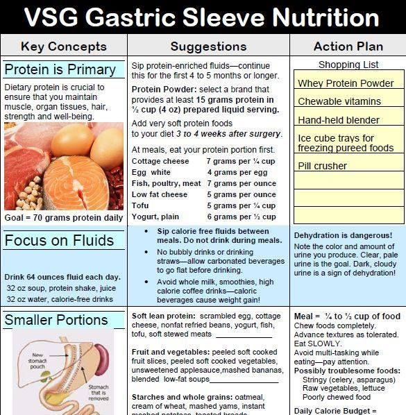 Stage 2 Gastric Sleeve Diet Adhawkdesign