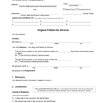 Texas Divorce Forms Fill Online Printable Fillable Blank PdfFiller