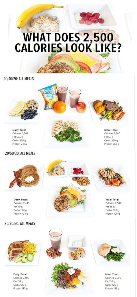 What Does 2 500 Calories Look Like Calorie Diet Plan 2500 Calorie