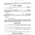 35 Free Blank Last Will And Testament Forms Word PDF