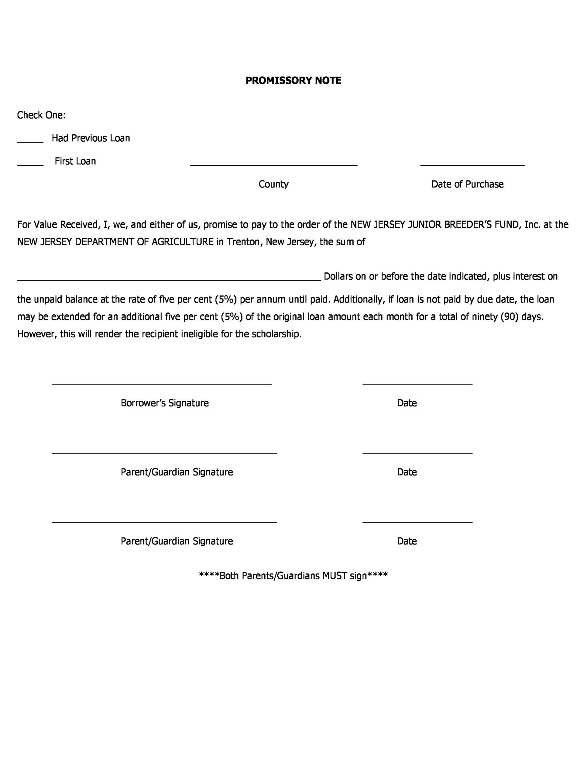 45 FREE Promissory Note Templates Forms Word PDF TemplateLab