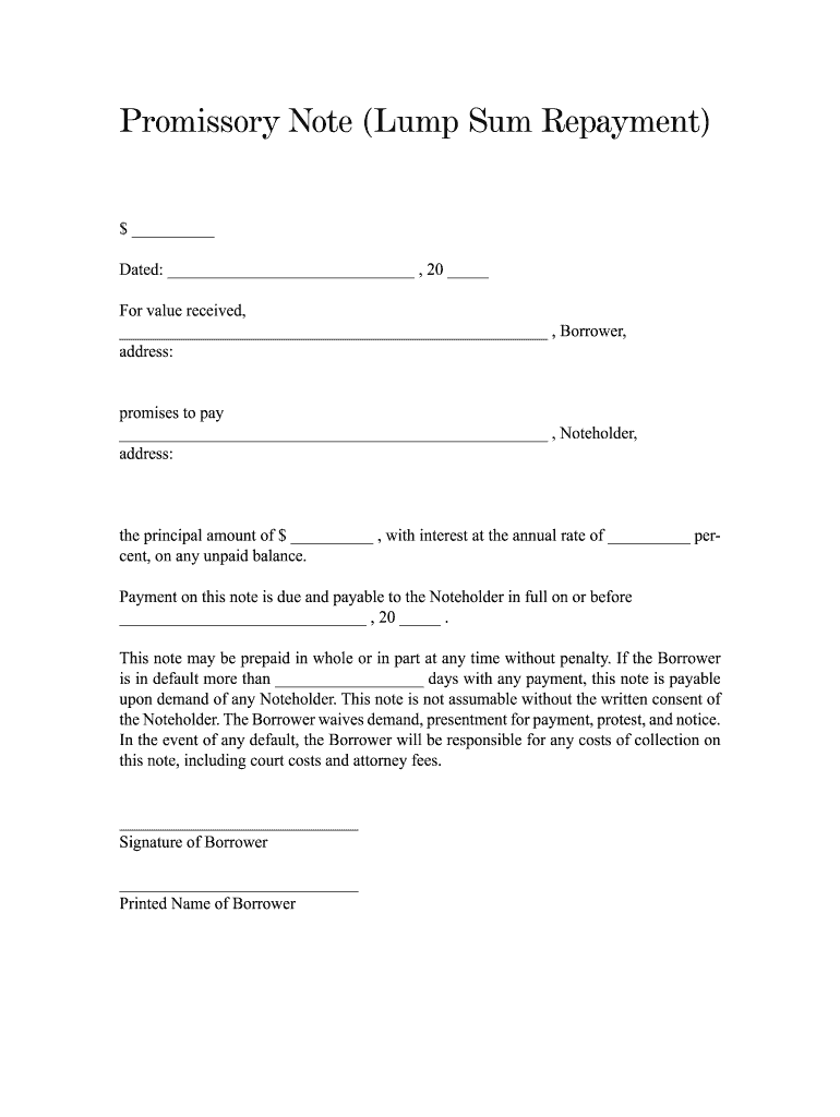 Blank Promissory Notes Fill Online Printable Fillable Blank 