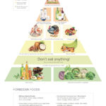 Dr Gundry Food Pyramid Pdf Happy Living