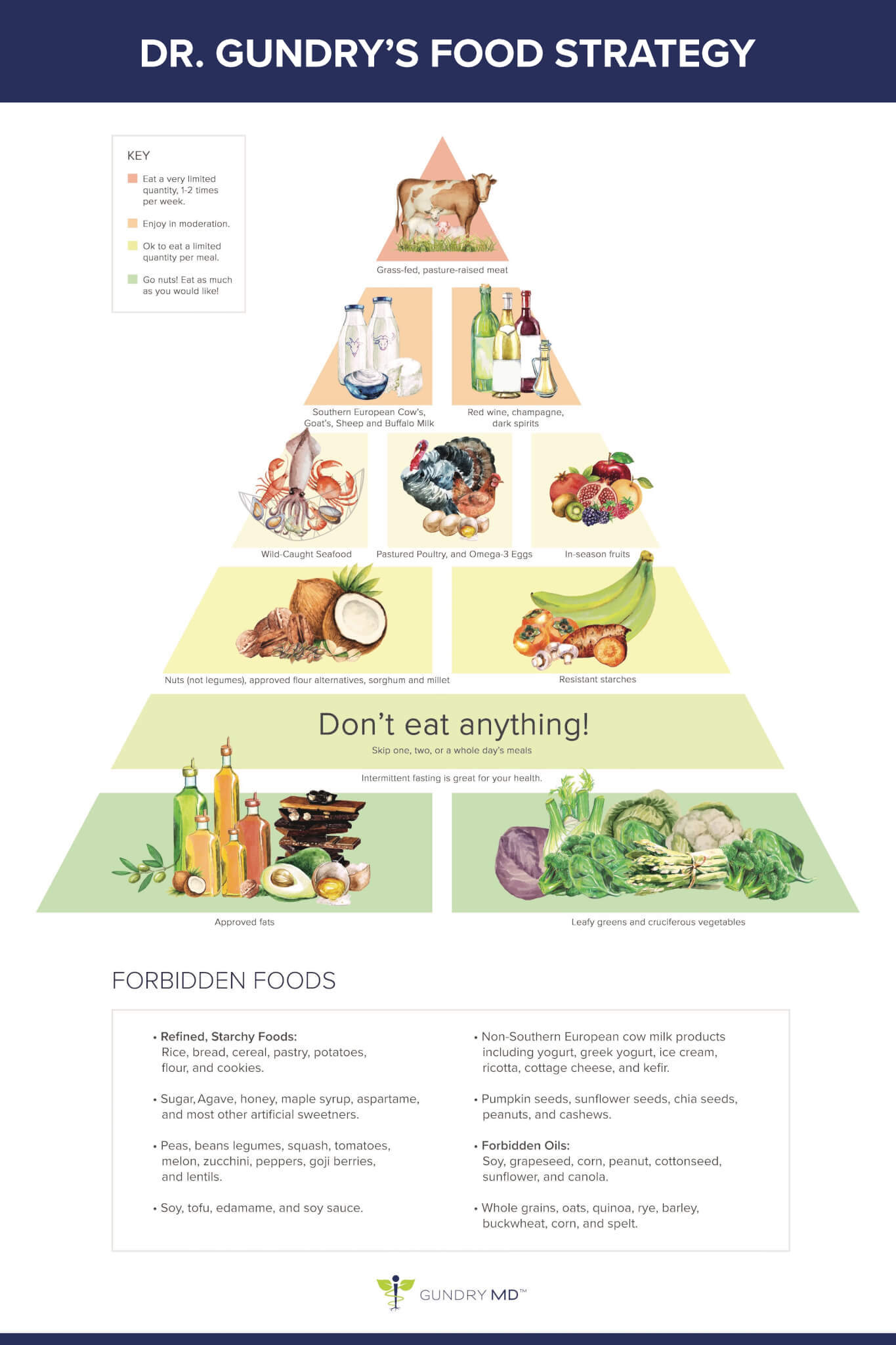 Dr Gundry Food Pyramid Pdf Happy Living