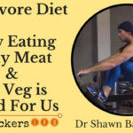 Dr Shawn Bakers Carnivore Diet Zero Carb Diet Plan Results