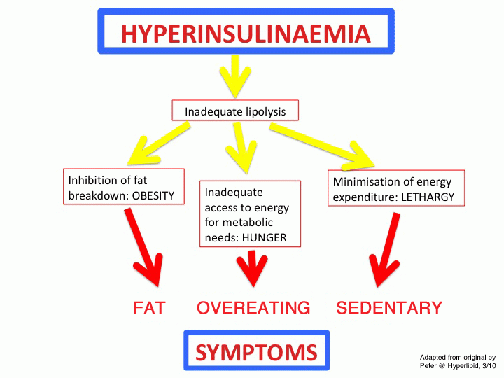 Excess Insulin Symptoms Risks And Ways To Reduce Beauty Health Tips