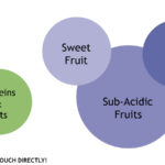 FACTS Food Combinations Fruit Endurance Dr Fred Bisci Head Of