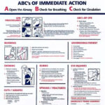 Free Basic First Aid Pocket Guide Printable Red Cross