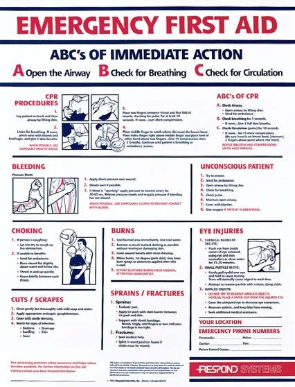 Free Basic First Aid Pocket Guide Printable Red Cross 