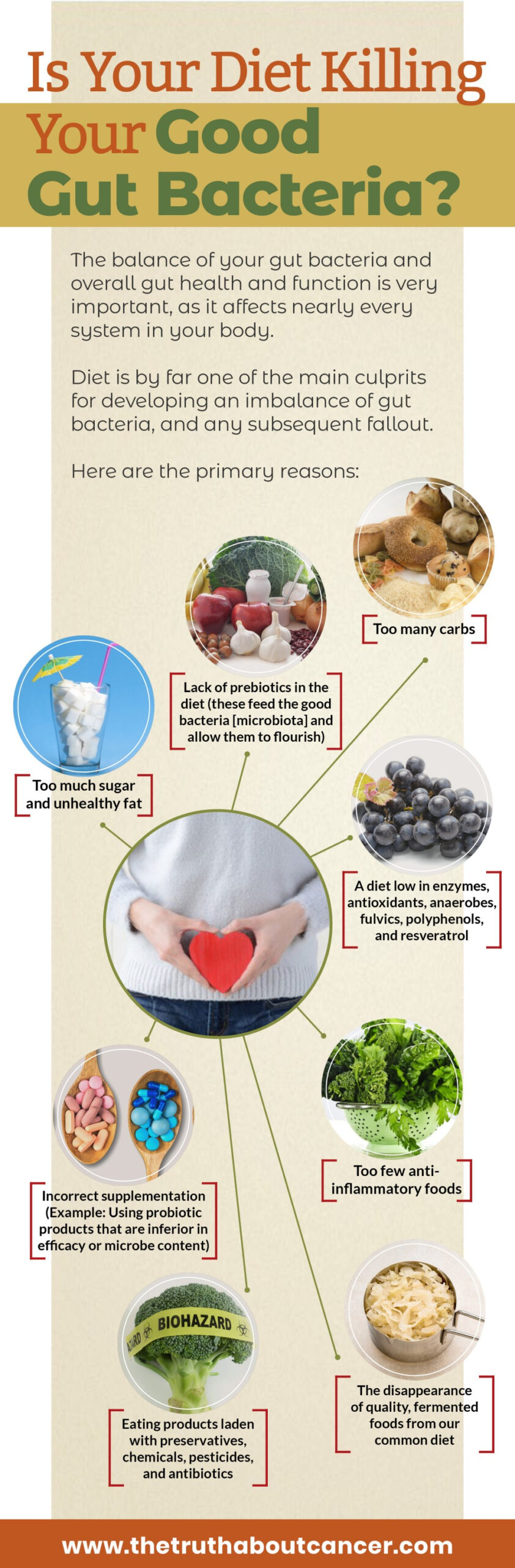 Gut Health Alert 4 Factors That Put Your Gut Microbiome At Risk