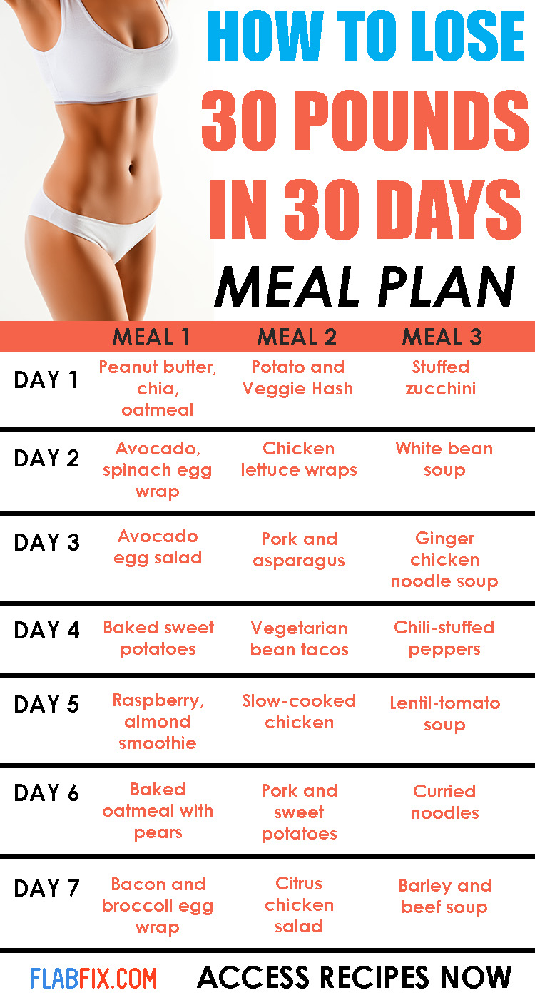 How To Lose 30 Pounds In 30 Days Meal Plan Included Flab Fix 2022