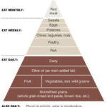 Paleo Meditteranean Pyramid paleodiet In 2020 Mediterranean Diet  - Mediterranean Paleo Diet Plan