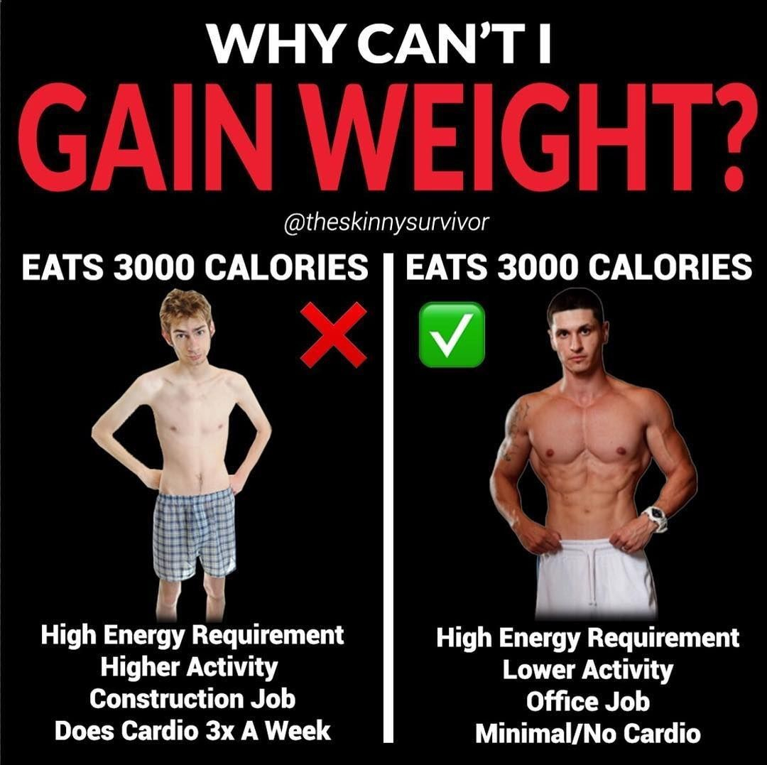 Pin On Workout Nutrition Diet Plans For Men And Women