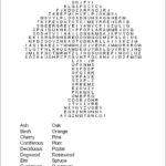 Printable Puzzles Adults Printable Crossword Puzzles