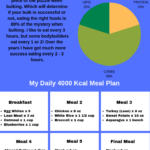 The Best Bulking Cycle For Better Muscle Mass And Gains Bulking Diet