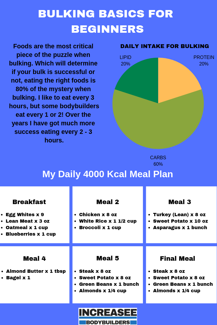 The Best Bulking Cycle For Better Muscle Mass And Gains Bulking Diet 