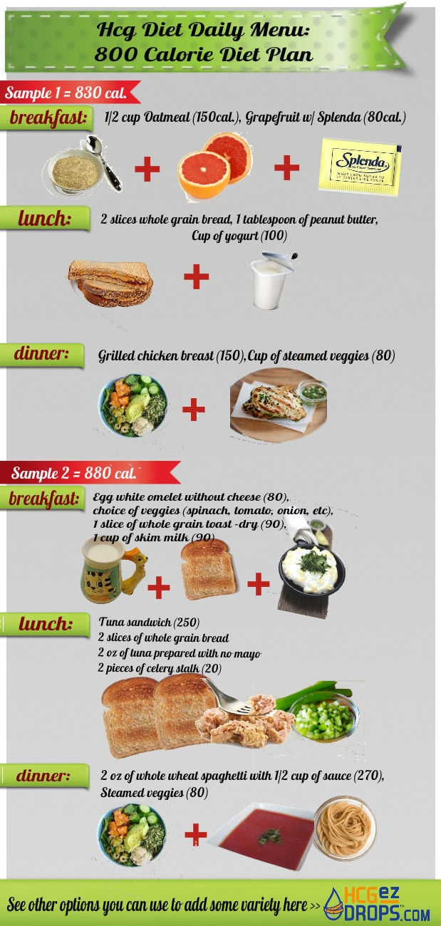 This Infographic Is Showing 2 Daily Meal Plan Samples For The 800