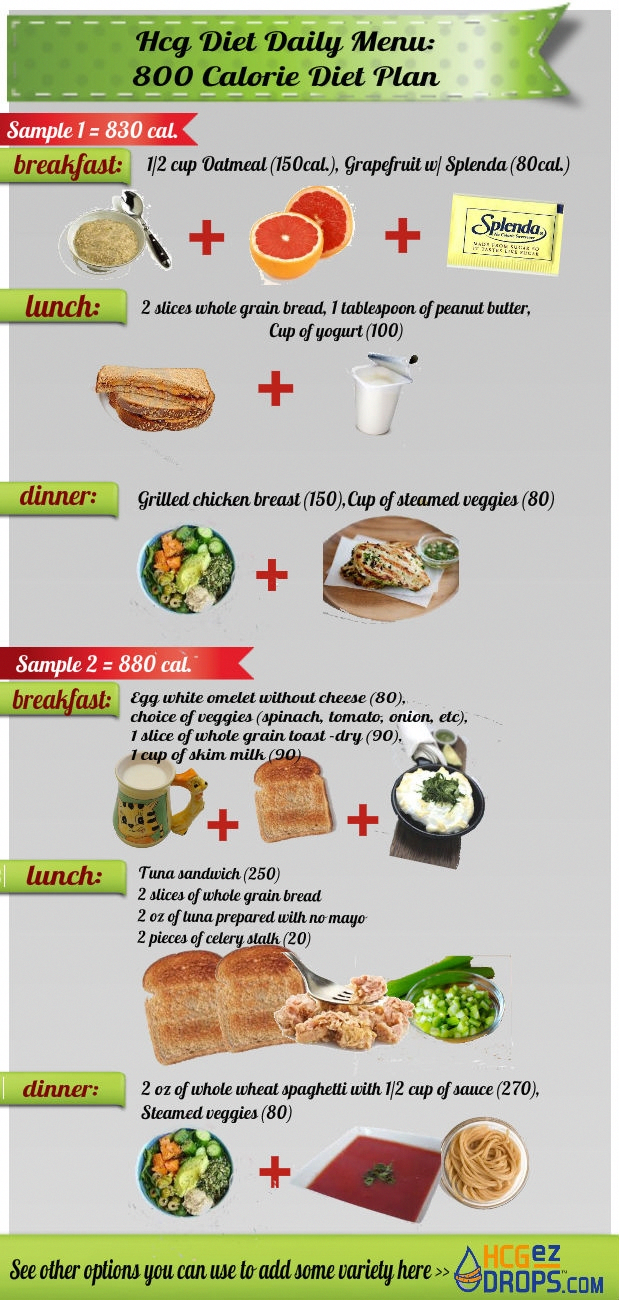 This Infographic Is Showing 2 Daily Meal Plan Samples For The 800 