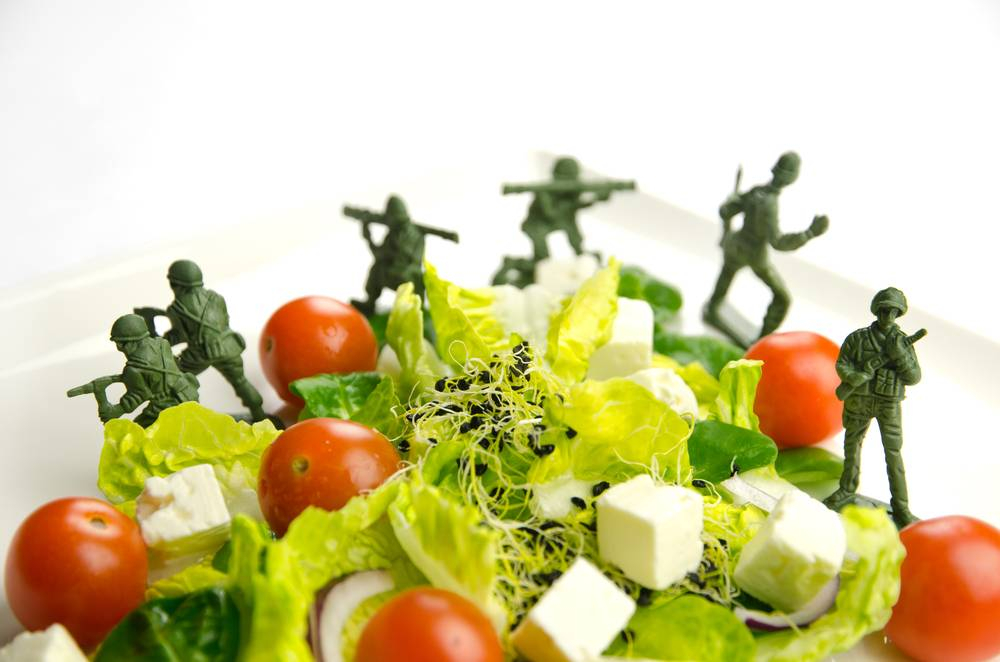 What Is The Military Diet Military Diet Pros Cons How It Works 